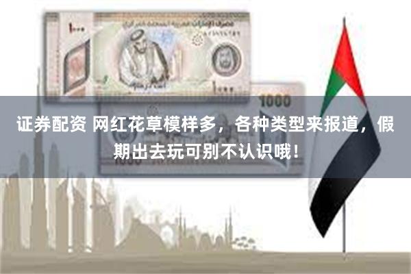证券配资 网红花草模样多，各种类型来报道，假期出去玩可别不认识哦！