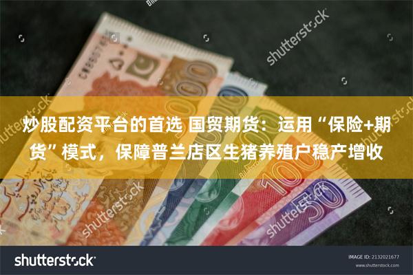 炒股配资平台的首选 国贸期货：运用“保险+期货”模式，保障普兰店区生猪养殖户稳产增收