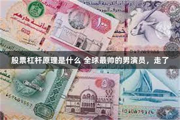 股票杠杆原理是什么 全球最帅的男演员，走了