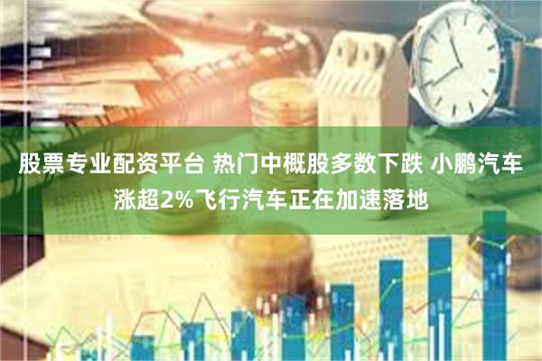 股票专业配资平台 热门中概股多数下跌 小鹏汽车涨超2%飞行汽车正在加速落地