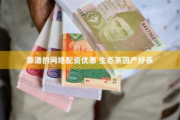 靠谱的网络配资优惠 生态茶园产好茶