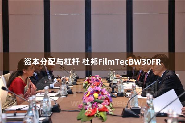 资本分配与杠杆 杜邦FilmTecBW30FR