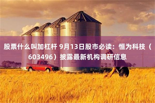 股票什么叫加杠杆 9月13日股市必读：恒为科技（603496）披露最新机构调研信息