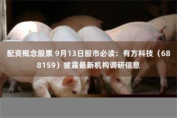 配资概念股票 9月13日股市必读：有方科技（688159）披露最新机构调研信息