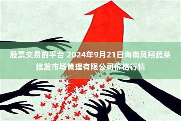 股票交易的平台 2024年9月21日海南凤翔蔬菜批发市场管理有限公司价格行情