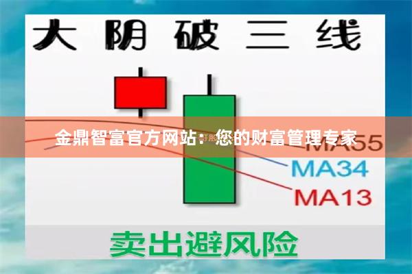 金鼎智富官方网站：您的财富管理专家