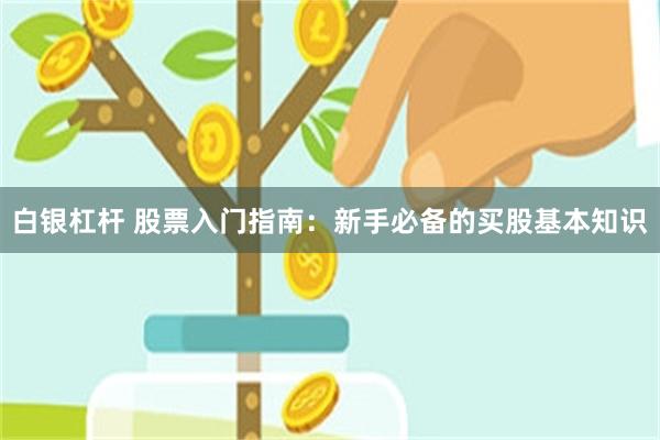 白银杠杆 股票入门指南：新手必备的买股基本知识