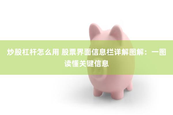 炒股杠杆怎么用 股票界面信息栏详解图解：一图读懂关键信息