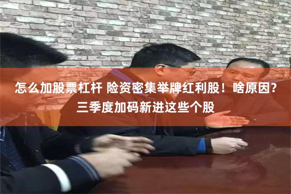 怎么加股票杠杆 险资密集举牌红利股！啥原因？三季度加码新进这些个股