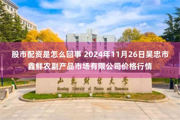 股市配资是怎么回事 2024年11月26日吴忠市鑫鲜农副产品市场有限公司价格行情