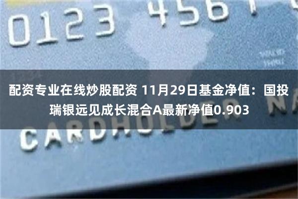 配资专业在线炒股配资 11月29日基金净值：国投瑞银远见成长混合A最新净值0.903
