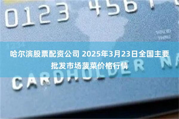 哈尔滨股票配资公司 2025年3月23日全国主要批发市场菠菜价格行情
