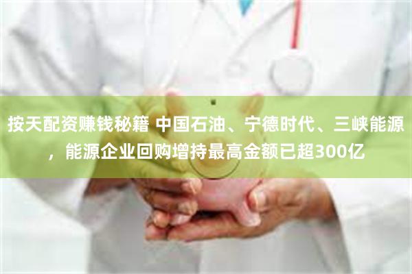 按天配资赚钱秘籍 中国石油、宁德时代、三峡能源，能源企业回购增持最高金额已超300亿