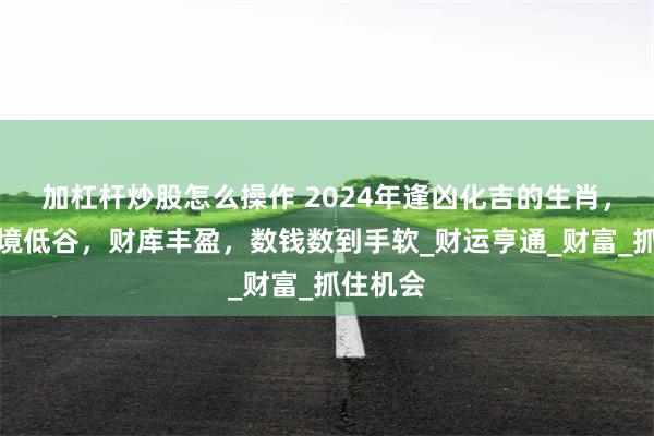 加杠杆炒股怎么操作 2024年逢凶化吉的生肖，不怕逆境低谷，财库丰盈，数钱数到手软_财运亨通_财富_抓住机会