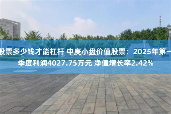股票多少钱才能杠杆 中庚小盘价值股票：2025年第一季度利润4027.75万元 净值增长率2.42%