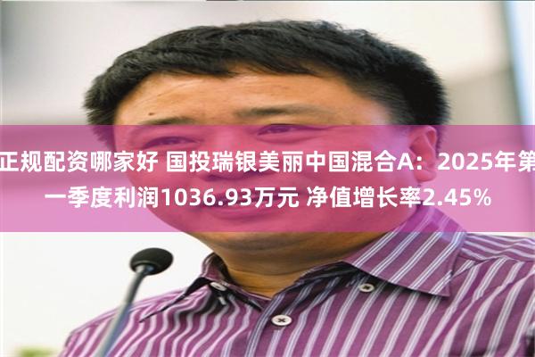 正规配资哪家好 国投瑞银美丽中国混合A：2025年第一季度利润1036.93万元 净值增长率2.45%