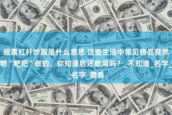 股票杠杆炒股是什么意思 这些生活中常见物品竟然是动物“粑粑”做的，你知道后还敢用吗？_不知道_名字_麝香