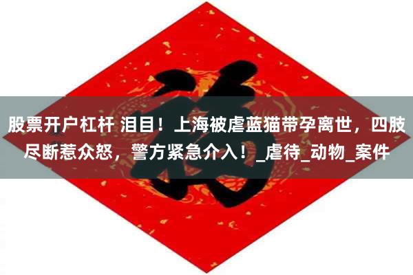 股票开户杠杆 泪目！上海被虐蓝猫带孕离世，四肢尽断惹众怒，警方紧急介入！_虐待_动物_案件