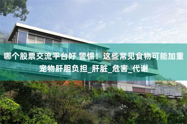 哪个股票交流平台好 警惕！这些常见食物可能加重宠物肝胆负担_肝脏_危害_代谢