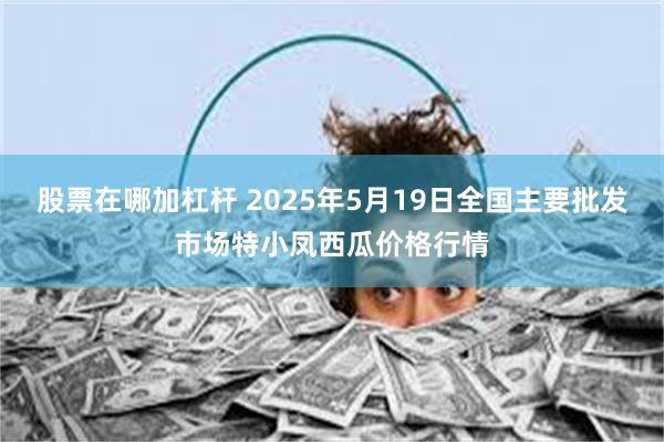 股票在哪加杠杆 2025年5月19日全国主要批发市场特小凤西瓜价格行情