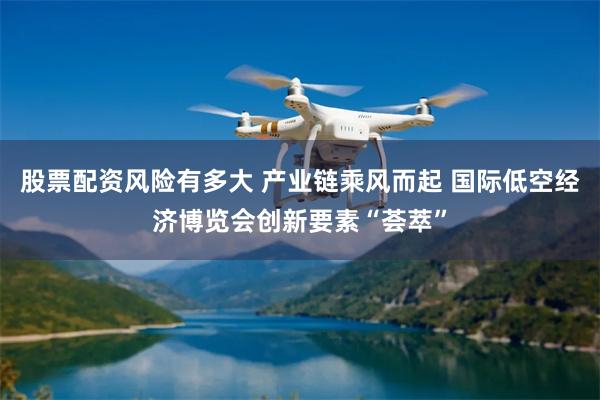 股票配资风险有多大 产业链乘风而起 国际低空经济博览会创新要素“荟萃”