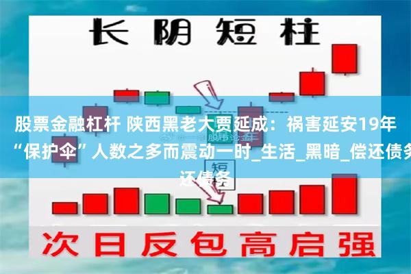 股票金融杠杆 陕西黑老大贾延成：祸害延安19年，“保护伞”人数之多而震动一时_生活_黑暗_偿还债务