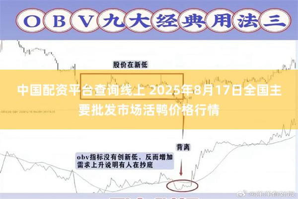 中国配资平台查询线上 2025年8月17日全国主要批发市场活鸭价格行情